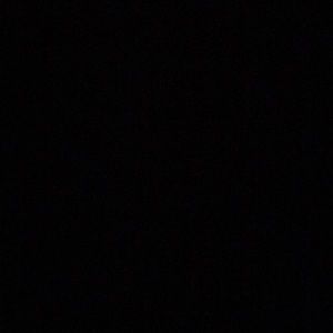 Meet your Posher, Sasha